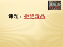 《拒绝毒品》PPT课件7-九年级体育与健康【华东师大版】