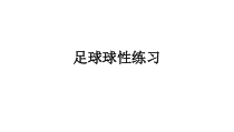 《二 认认真真学几招》PPT课件6-八年级体育与健康【华中师大版】