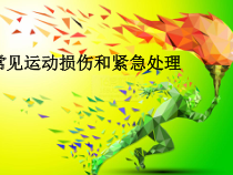 《一 常见的运动损伤和处理方法》PPT课件8-八年级体育与健康【华中师大版】