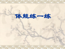 《二 练一练体能》PPT课件2-八年级体育与健康【华中师大版】