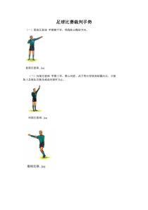 《三 当一回绿茵“法官”》教学素材4-九年级体育与健康【华中师大版】