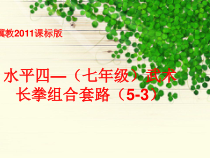 《发展综合性身体控制技能》PPT课件2-七年级体育与健康【冀教版】