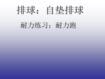 《排球》PPT课件1-九年级体育与健康【冀教版】