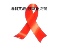 《预防艾滋病》PPT课件1-九年级体育与健康【冀教版】