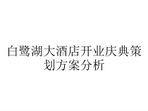 白鹭湖大酒店开业庆典策划方案分析课件