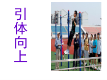 《力量练习》PPT课件1-八年级体育与健康【教科版】