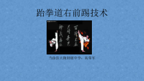 《跆拳道》PPT课件3-八年级体育与健康【教科版】