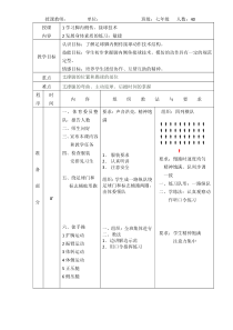 《足球》教学设计2-九年级体育与健康【教科版】