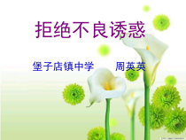 《远离毒品》PPT课件1-九年级体育与健康【教科版】