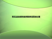 《生活方式与健康》PPT课件1-七年级体育与健康【人教版】