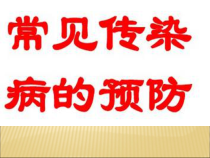 《常见传染病的预防》PPT课件2-七年级体育与健康【人教版】