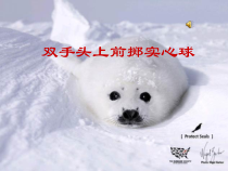 《原地侧向推实心球》PPT课件2-七年级体育与健康【人教版】