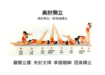 《肩肘倒立--前滚翻成蹲立》教学素材3-七年级体育与健康【人教版】