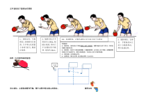 《正手发下旋球》教学素材1-八年级体育与健康【人教版】