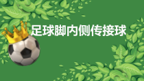 《脚内侧拨球》PPT课件2-九年级体育与健康【人教版】