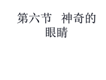 《6.神奇的眼睛》PPT课件1-八年级物理上册【教科版】