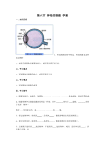 《6.神奇的眼睛》学案-八年级物理上册【教科版】