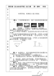 《在光的世界里》复习学案-八年级物理上册【教科版】