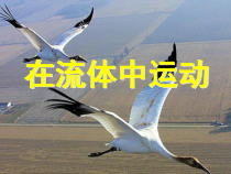 《1.在流体中运动》PPT课件1-八年级物理下册【教科版】