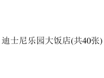 迪士尼乐园大饭店(共40张)课件