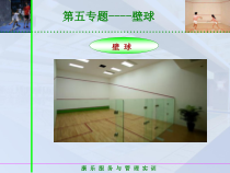 饭店服务技能综合实训--第一模块-康体服务项目-第五专题-壁球课件