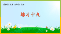 苏教版五年级上册数学第八单元《练习十九》课件（定稿）