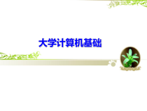 大学计算机基础课完整版课件全套教学教程最全整套电子教案电子讲义