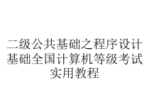 二级公共基础之程序设计基础全国计算机等级考试实用教程