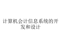 计算机会计信息系统的开发和设计课件