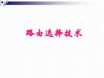 高级计算机网络技术之路由选择技术概要课件