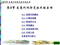 计算机网络信息安全理论与实践教程第12章-课件