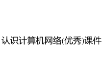 认识计算机网络(优秀)课件