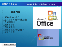 计算机应用3章课件