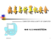 病毒与计算机安全课件