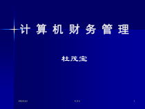 第一章计算机财务管理课件