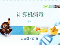 计算机病毒和计算机黑客课件