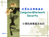 计算机病毒基本知识解析课件