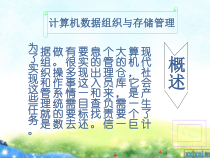 计算机数据组织与存储管理课件
