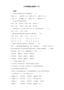 小升初语文知识专项训练总复习试卷及答案解析（WORD版24页）