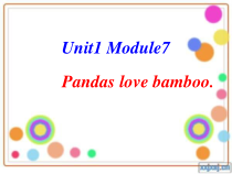 外研版（一起）六上Module 7《Unit 1 Pandas love bamboo》ppt课件4