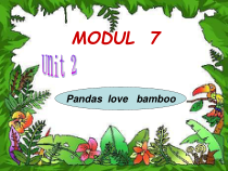 外研版（一起）六上Module 7《Unit 1 Pandas love bamboo》ppt课件5