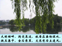 统编版语文高中必修上《声声慢》ppt课件（51页） 