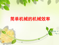 《简单机械的机械效率复习》PPT课件9-八年级物理下册【教科版】