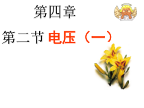 《2.电压：电流产生的原因》PPT课件1-九年级物理上册【教科版】