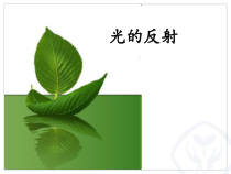《第二节 光的反射》PPT课件2-八年级物理上册【鲁科版】