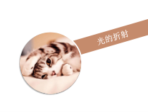 《第四节 光的折射》PPT课件2-八年级物理上册【鲁科版】