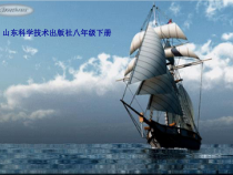 《第二节 阿基米德原理》PPT课件3-八年级物理下册【鲁科版】