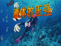 《第二节 液体压强》PPT课件2-八年级物理下册【鲁科版】