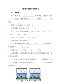《第四节 电流的测量》评测练习-九年级物理上册【鲁科版】