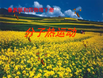 《第二节 分子热运动》PPT课件1-九年级物理下册【鲁科版】